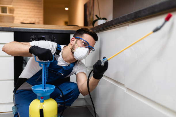 Flea Control Services in St Leo, FL