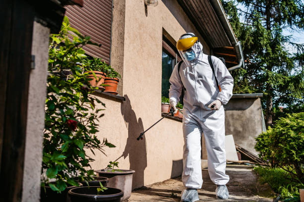 Best Rat Extermination Near Me  in St Leo, FL