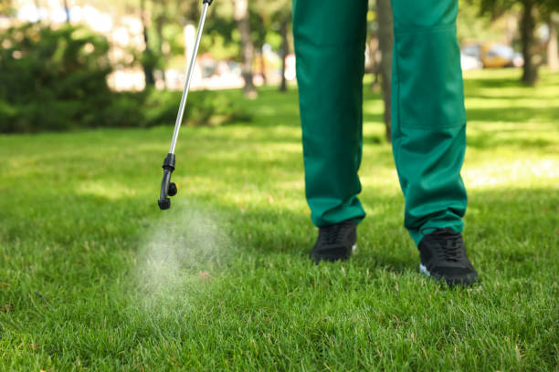  St Leo, FL Pest Control Pros