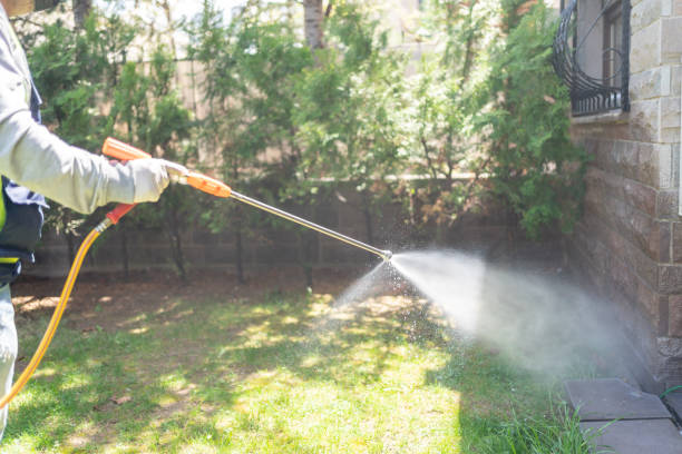 Best Ant Control Services  in St Leo, FL