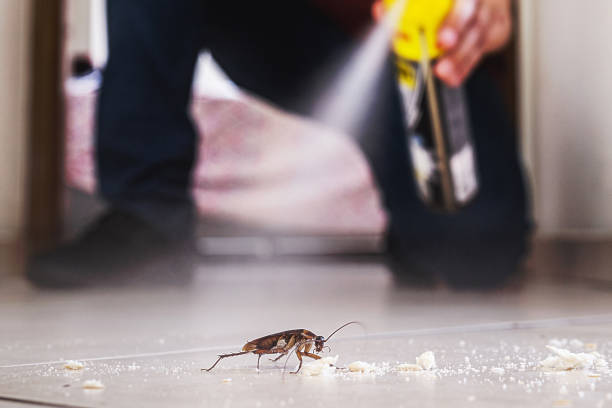 Best Pest Removal Services  in St Leo, FL