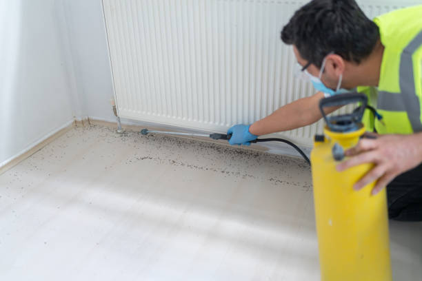 Best Pest Prevention Services  in St Leo, FL
